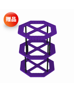 VIQC 2020-2021 得分道具-紫色柱塔